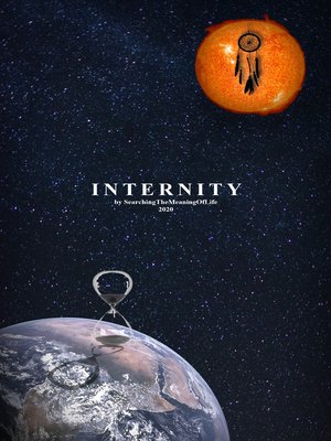 cover image of Internity